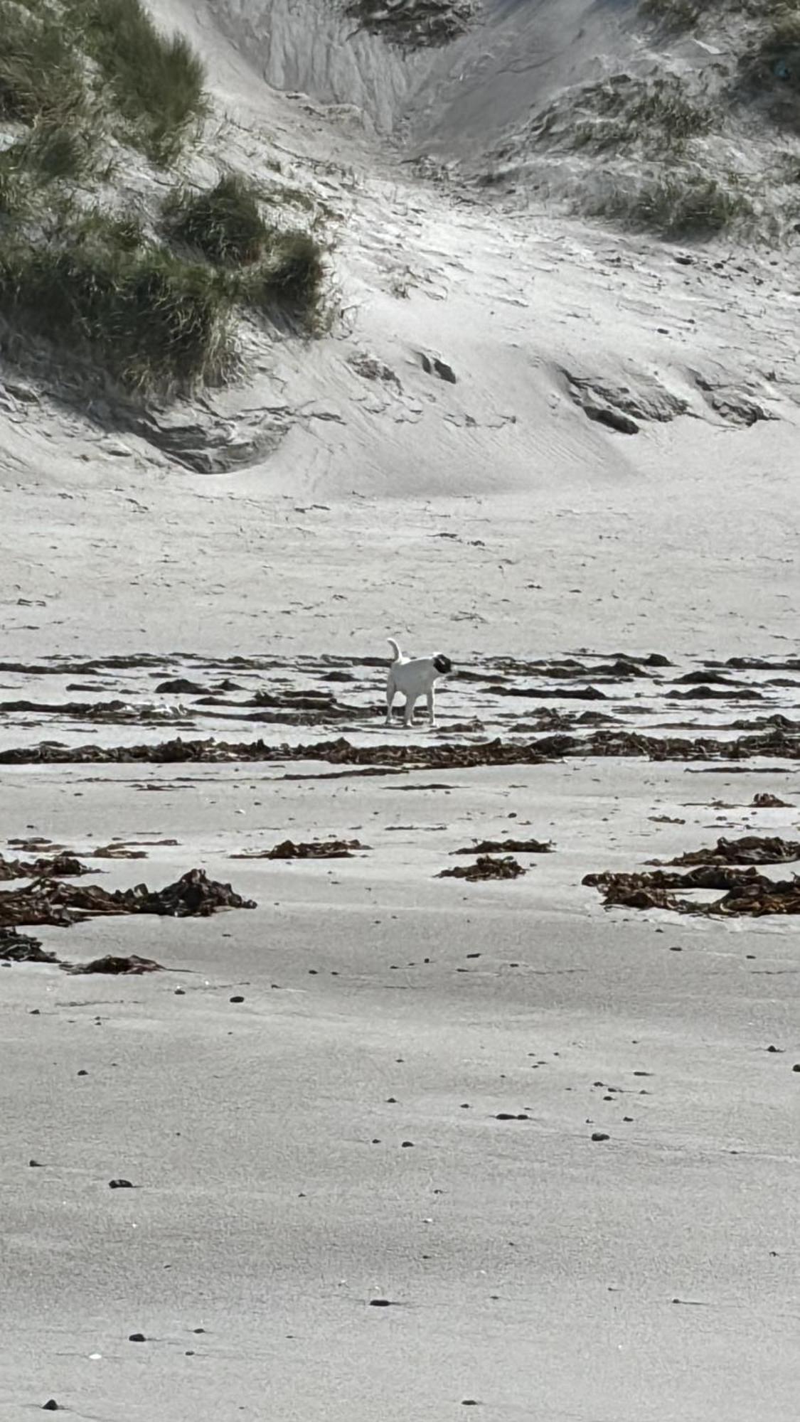 Seas The Day - Self Catering Lodge North Uist Paible Buitenkant foto